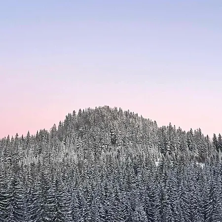 Mountain View Apartment 01 Prizemlje U Premium Objektu Apartman Jahorina