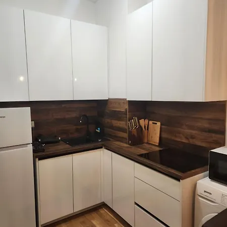 Mountain View -Ski & Mountain Retreat, Apartment 01 Prizemlje U Premium Objektu アパート